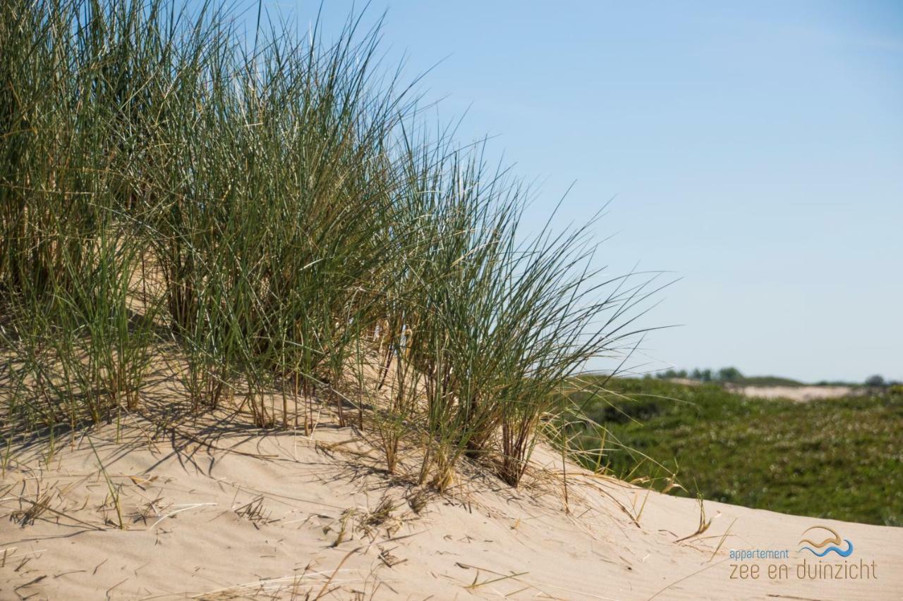Appartement Zee En Duinzicht 84 Katwijk aan Zee Exteriér fotografie